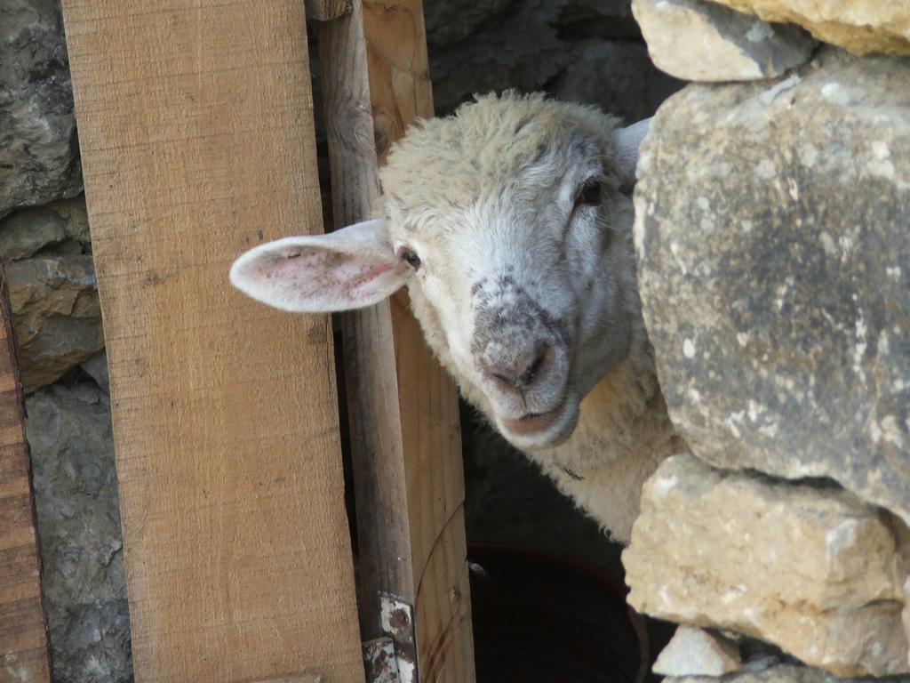 Aldeia Da Mata Pequena Ξενοδοχείο Μάφρα Εξωτερικό φωτογραφία