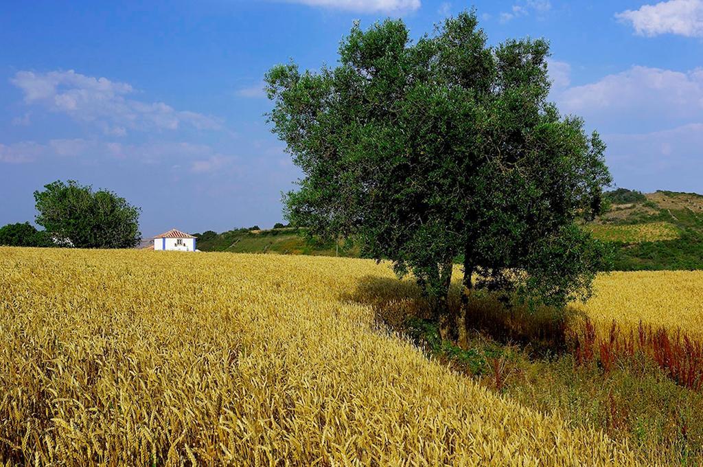 Aldeia Da Mata Pequena Ξενοδοχείο Μάφρα Εξωτερικό φωτογραφία