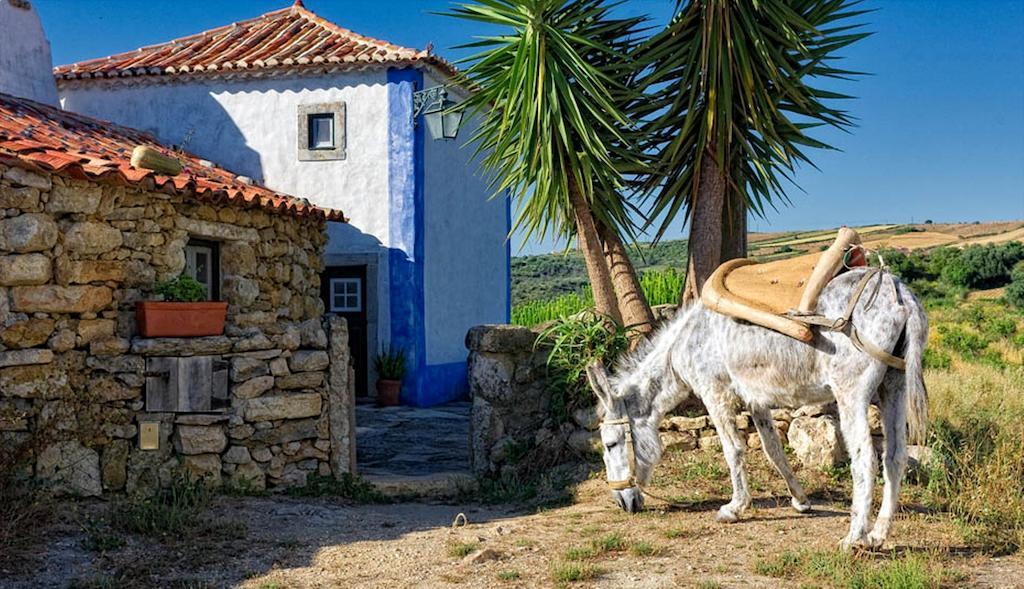 Aldeia Da Mata Pequena Ξενοδοχείο Μάφρα Δωμάτιο φωτογραφία
